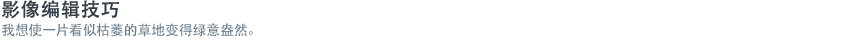 影像编辑技巧 - 我想使一片看似枯萎的草地变得绿意盎然。  