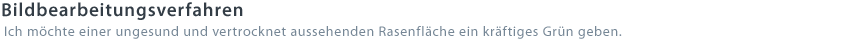 Bildbearbeitungsverfahren - Ich möchte einer ungesund und vertrocknet aussehenden Rasenfläche ein kräftiges Grün geben.
