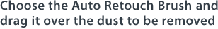 Choose the Auto Retouch Brush and drag it over the dust to be removed