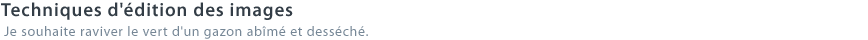 Techniques d'édition des images - Je souhaite raviver le vert d'un gazon abîmé et desséché.