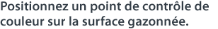 Positionnez un point de contrôle de couleur sur la surface gazonnée.