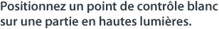 Positionnez un point de contrôle blanc sur une partie en hautes lumières.